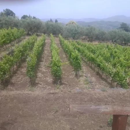 Etna Nord