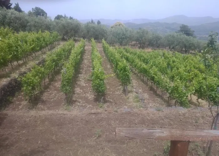 Etna Nord